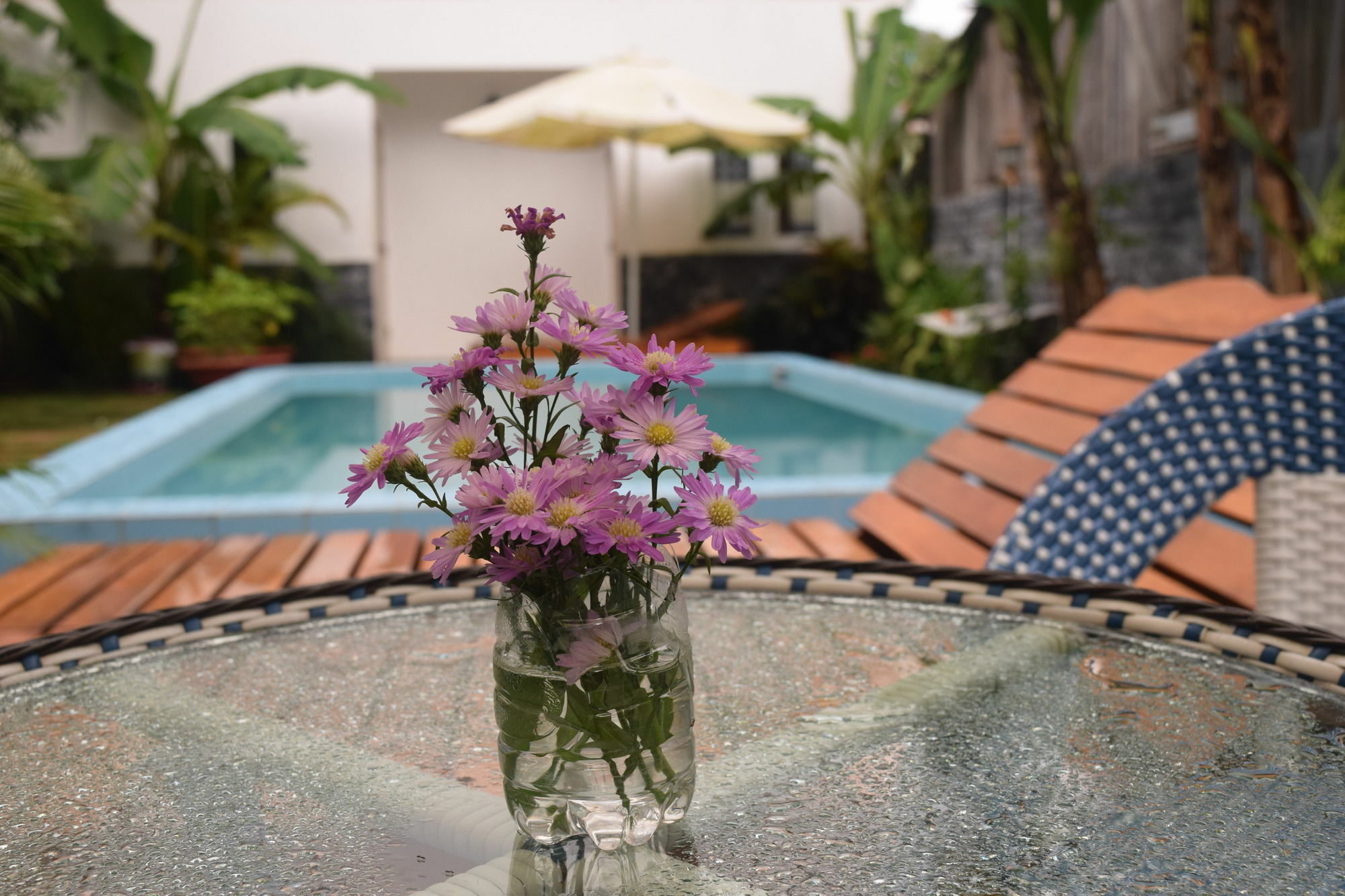 Orchid Guesthouse Phu Quoc Exterior foto